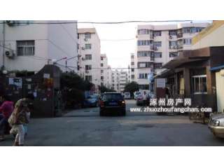 �����´�