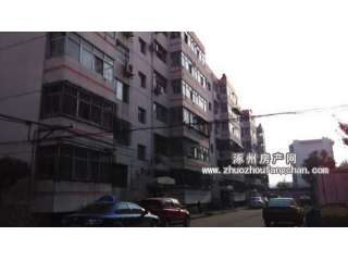 �����´�