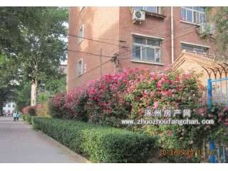 һ�мҌ�Ժ(�����ЌW(xu��))