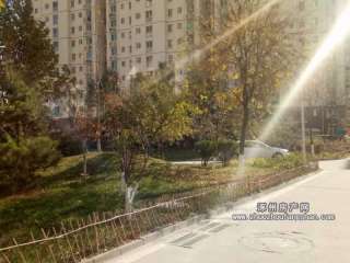 ��̽��ʮ̖(h��o)Ժ(ƽ��D�^(q��))