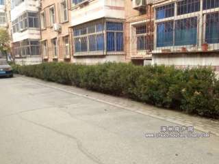 �����С�^(q��)