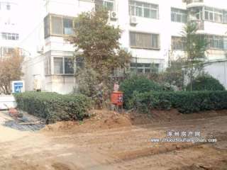 �����´�