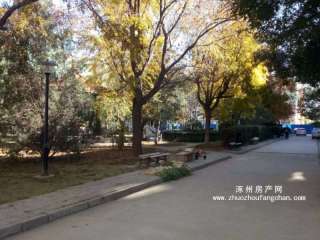 ��̽ʯ�͈�(b��o)��Ҍ�Ժ