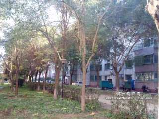 ��̽ʯ�͈�(b��o)��Ҍ�Ժ