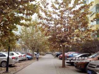 õ�����ϲ��Д�