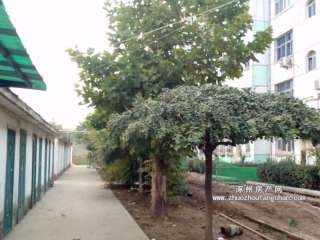 ���YС�^(q��)