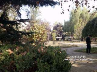 ���d�����S�Ҍ�Ժ