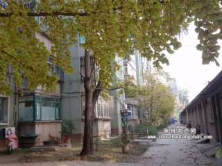 ���d�����S�Ҍ�Ժ