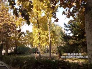 ���d�����S�Ҍ�Ժ