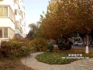 ��̽�־�̖Ժ(ƽ��С�^(q��))