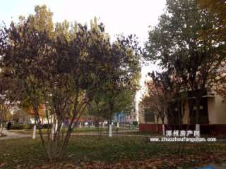 ��̽�־�̖Ժ(ƽ��С�^(q��))