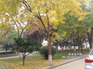 �pܰ�ш@(�p���ЌW(xu��)�̎���Ԣ)