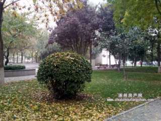 �pܰ�ш@(�p���ЌW(xu��)�̎���Ԣ)