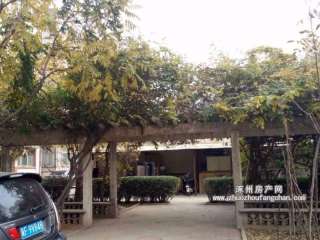 �����y��С�^(q��)