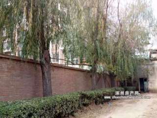 �����y��С�^(q��)