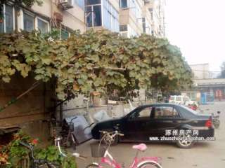 ���������SסլС�^(q��)