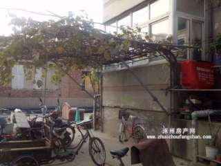 ���������SסլС�^(q��)