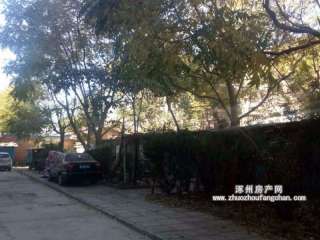 ��늏S�Ҍ�Ժ