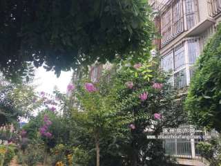 ���d���@