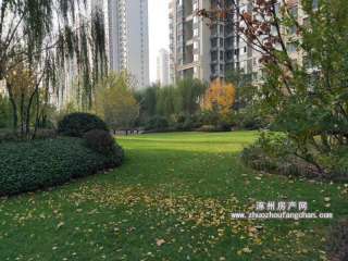 ��׿�삐��