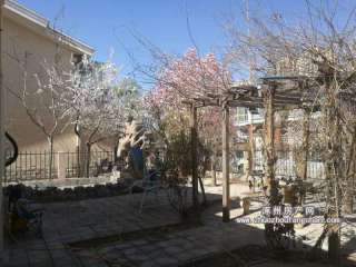 ������Է