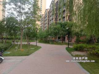 ��׿�삐��