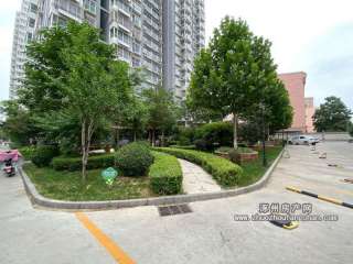 �����f�ͳ�