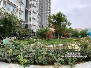 �����f�ͳ�