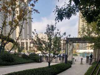 ��׿�삐��