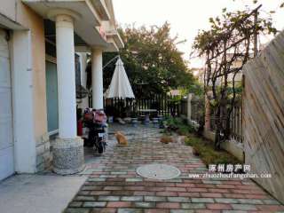 ������Է