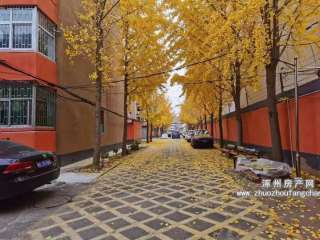 �����f�@