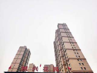 �P�d������