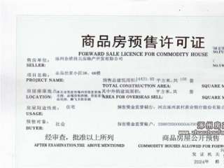 �A���S���C